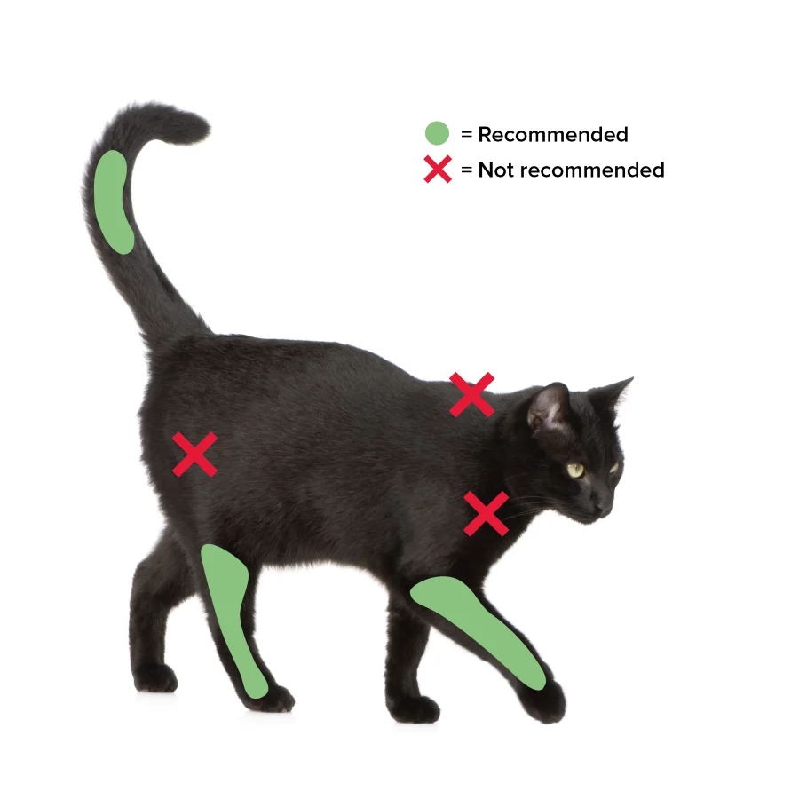 figure 1 vaccination sites no caption