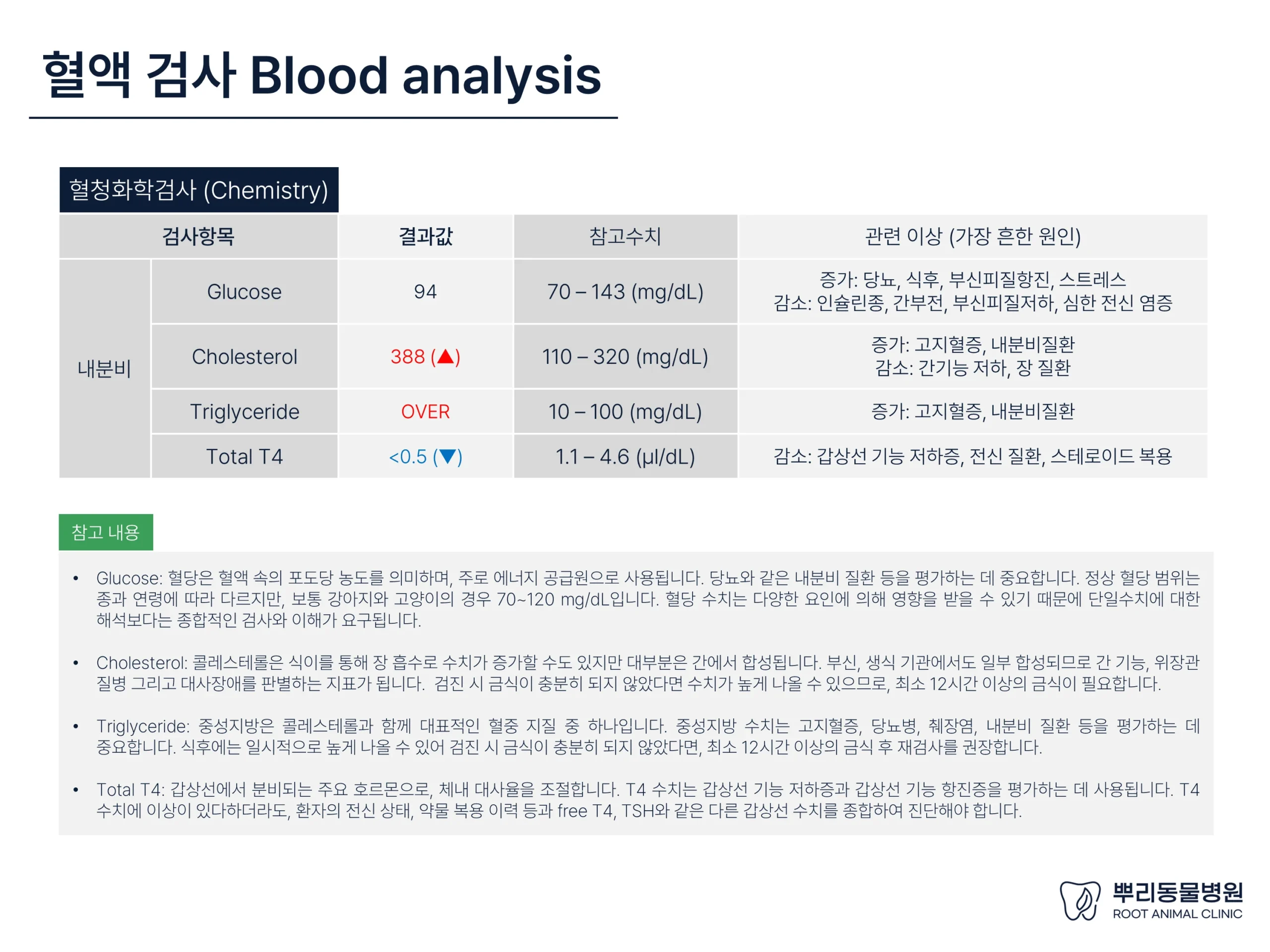 뿌리동물병원 건강검진 레포트