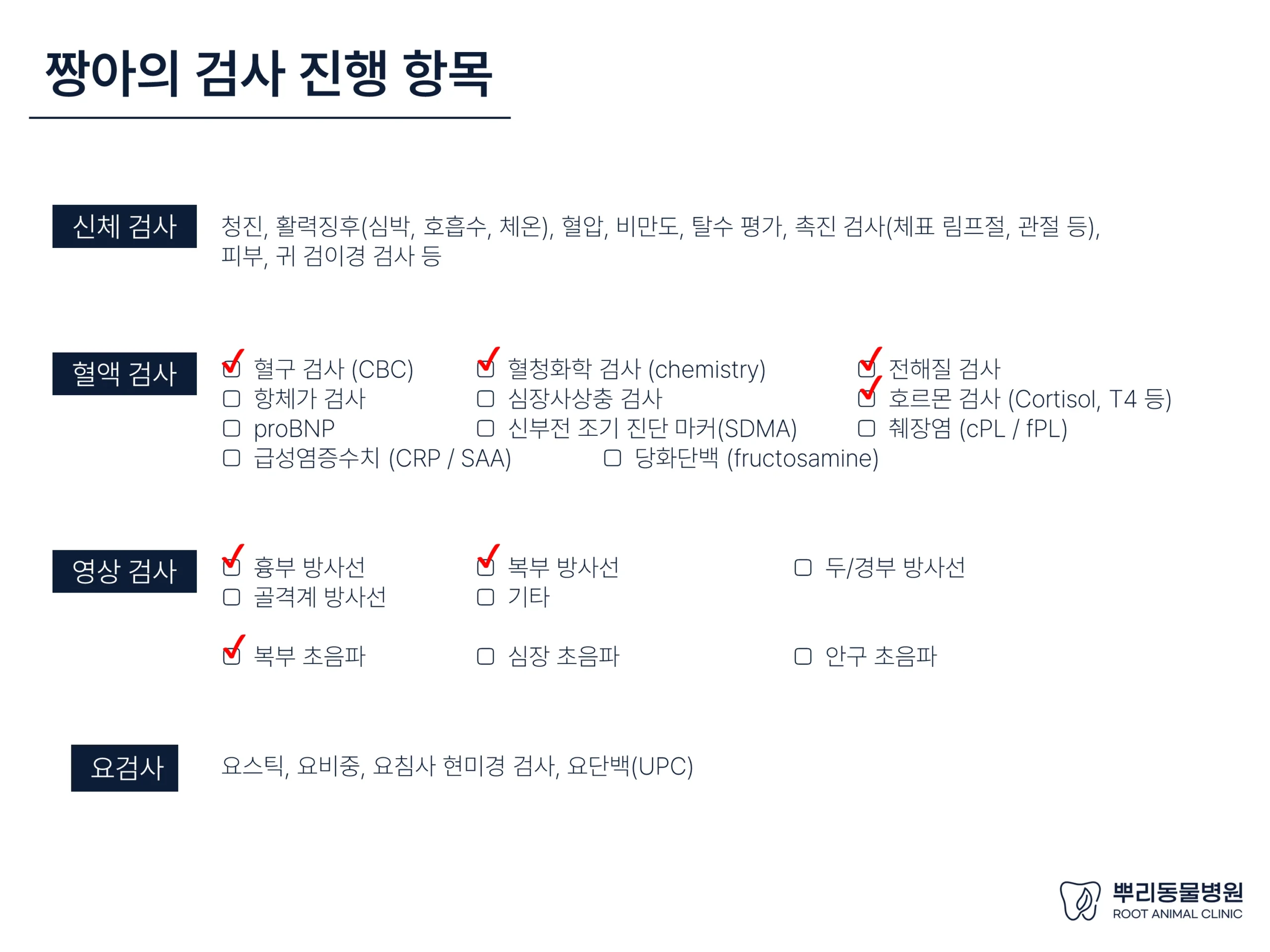 뿌리동물병원 건강검진 레포트