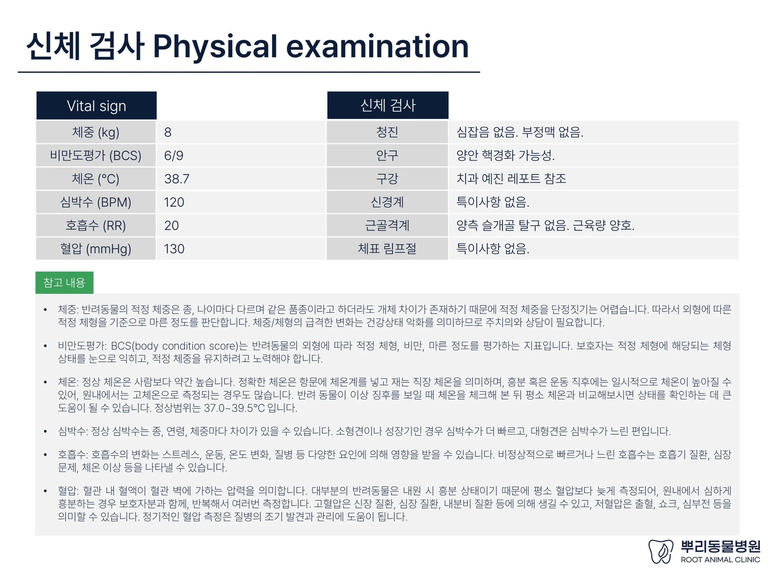 뿌리동물병원 건강검진 레포트