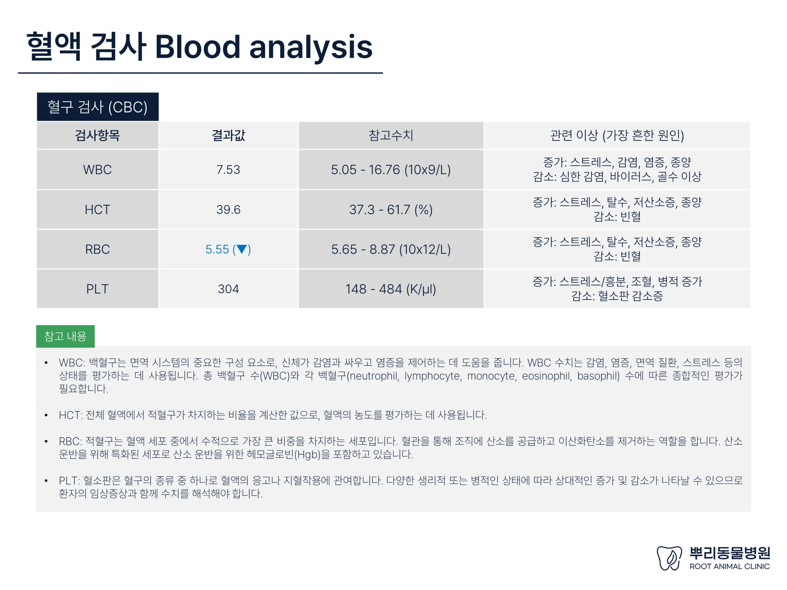 뿌리동물병원 건강검진 레포트