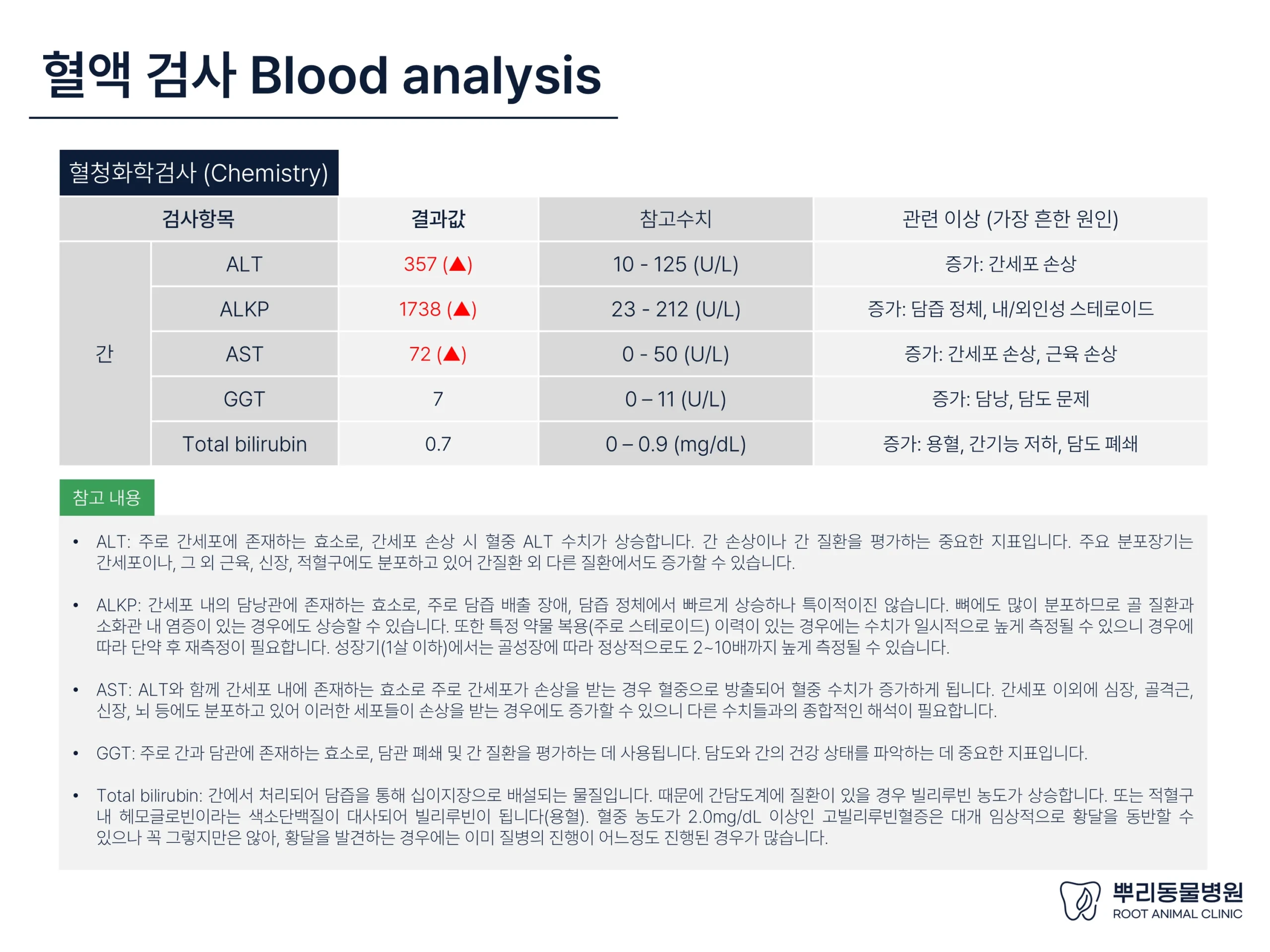 뿌리동물병원 건강검진 레포트