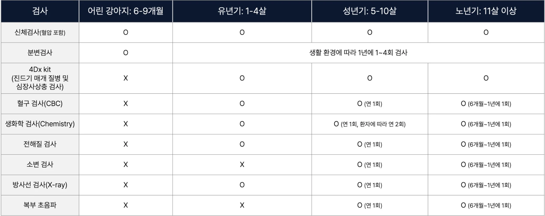 강아지 생애 주기별 건강검진 항목 안내