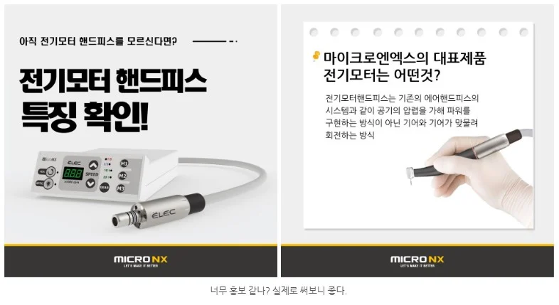 대형견 치아 파절 5