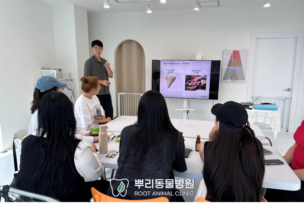 반려견 유치원에서 진행한 강아지 구강 관리 세미나 1 보호자 대상 반려견 양치 세미나