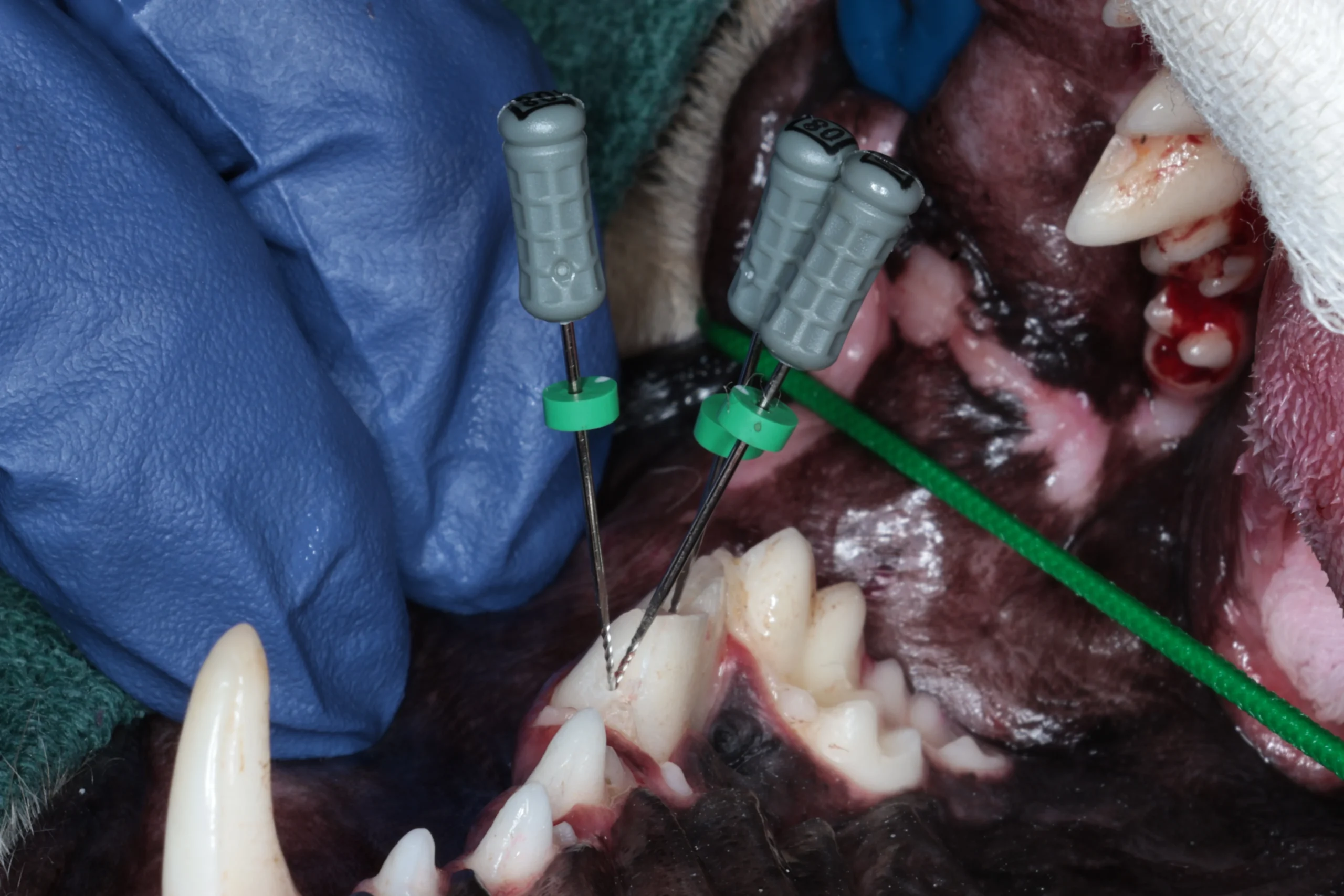 25 3 IMG 5381 scaled