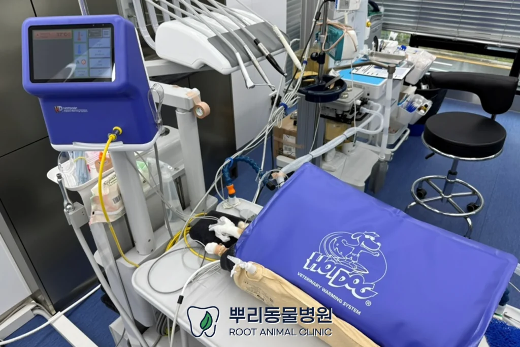 뿌리동물병원 수술 마취 중 모니터링 체온 유지