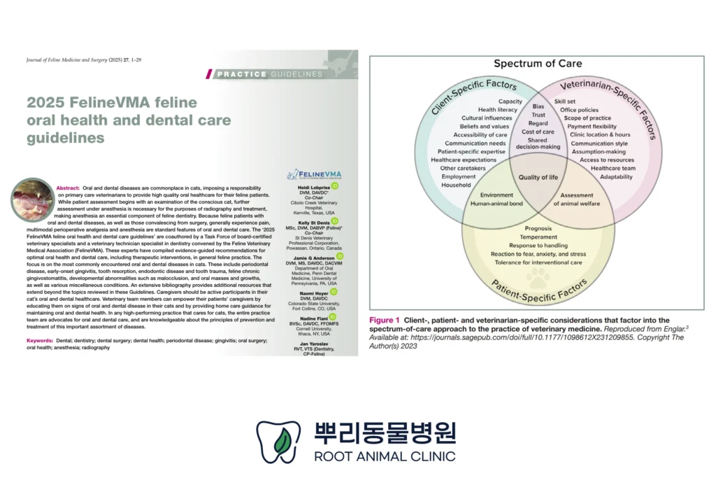 고양이 구강 건강 치아 관리 가이드라인