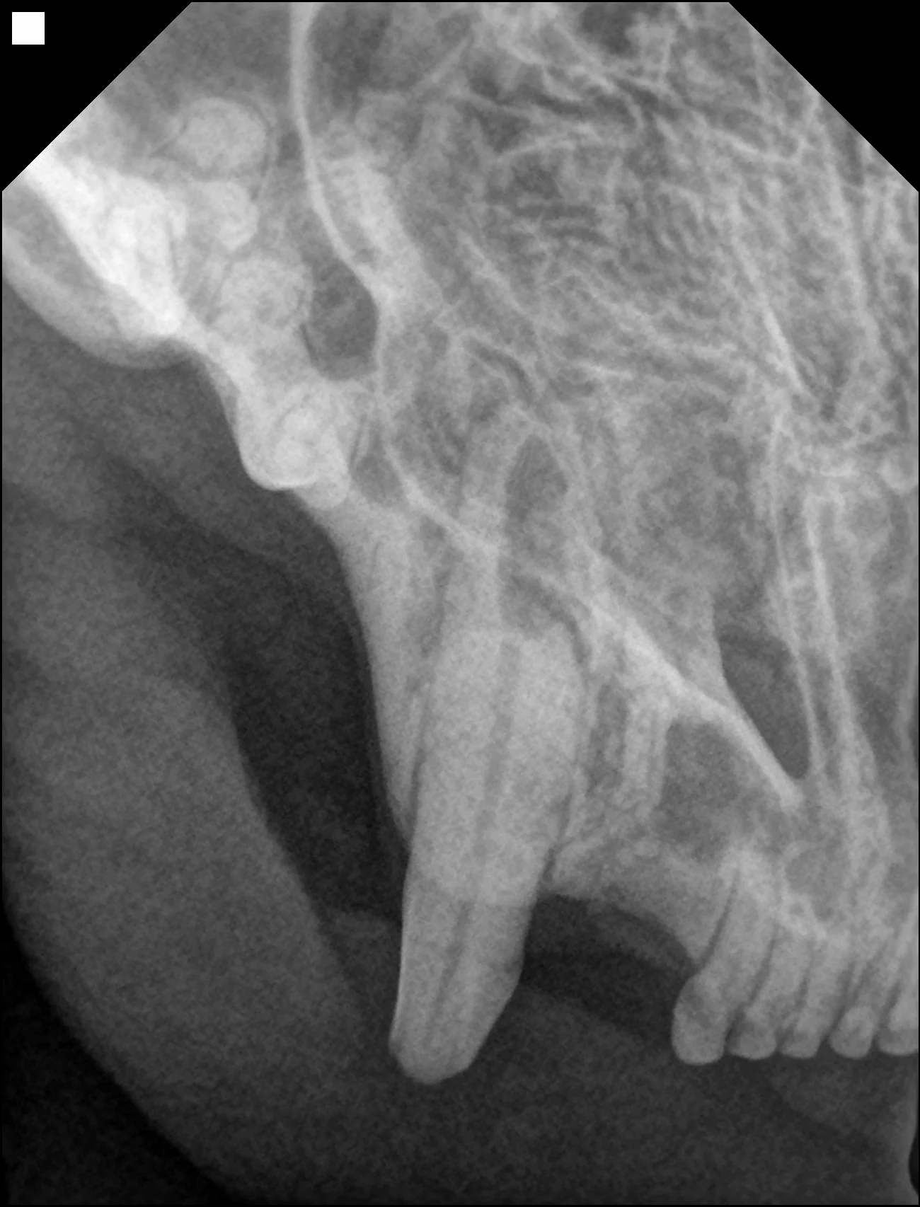 아릉 20251110164448 IO 0