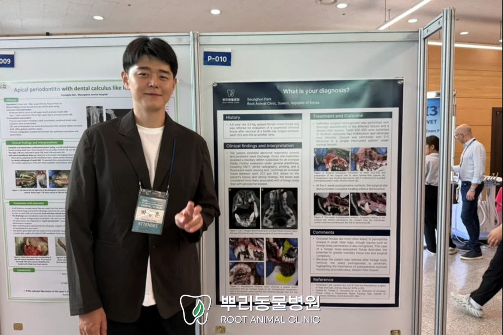 아시아수의치과포럼 참석 후기 포스터 발표