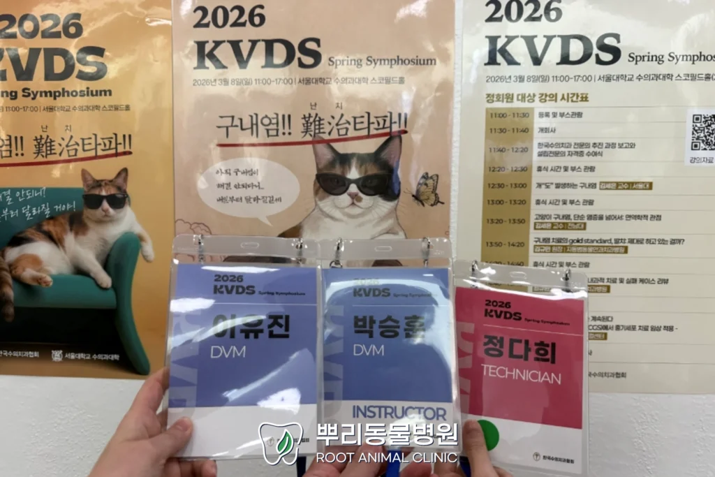 2026 한국수의치과협회 춘계 심포지엄 참석 후기 1 한국수의치과협회 학회 참석 후기