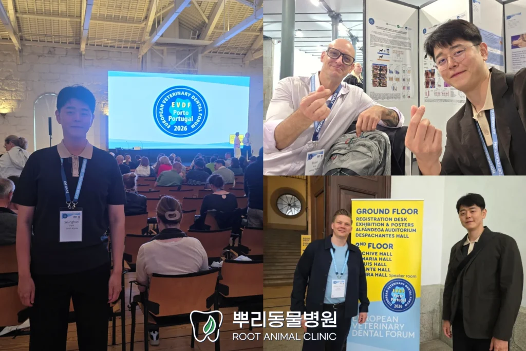 2026 유럽수의치과학회(EVDF) 참석 후기 1 EVDF 유럽수의치과학회 참석