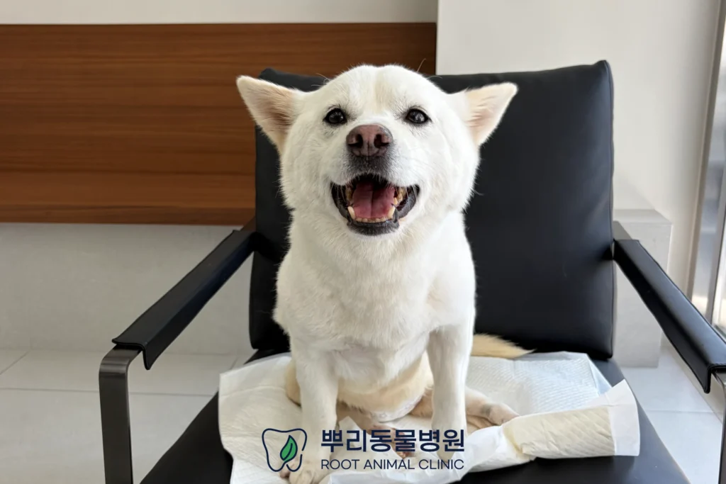 월간뿌리 울림