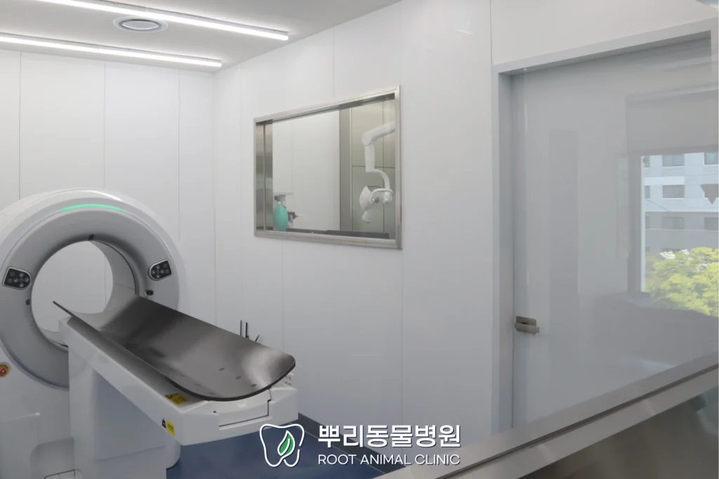 CT 업그레이드 인테리어