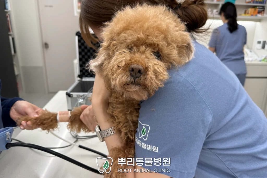 월간 뿌리 음표