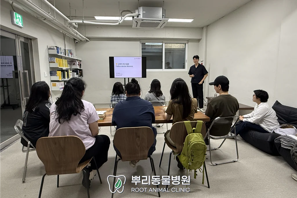 고양이 보호자 치과 세미나