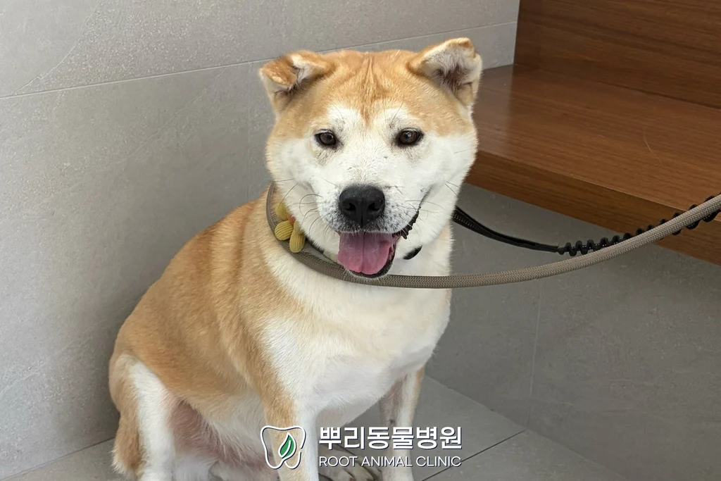 월간 뿌리 귀남